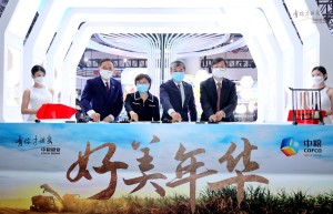 <strong>深耕“甜蜜的事业”，中粮糖业启动 “好美年华”品牌工程</strong>